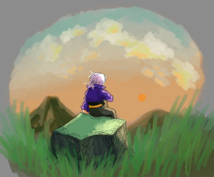 trunks sitting on a rock and peacefully enjoying the sunset